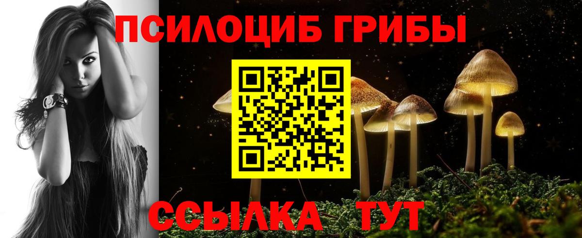 Псилоцибиновые грибы MAGIC MUSHROOMS  Вход с VPN  Сердобск  Псилоцибиновые грибы Psilocybine cubensis 